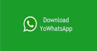 aplikasi whatsapp terbaru yang bisa ganti tema