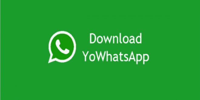aplikasi whatsapp terbaru yang bisa ganti tema
