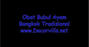 Obat Bubul Ayam Bangkok Tradisional